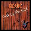 Ac dc fly on the wall